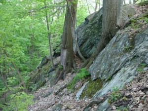 Glacial Rock