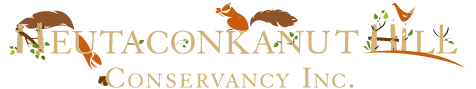 Neutaconkanut Hill Conservancy Inc.